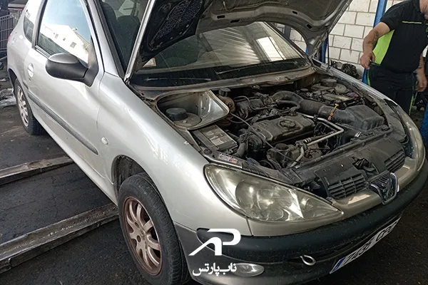 ریپ زدن پژو 206 در سرما